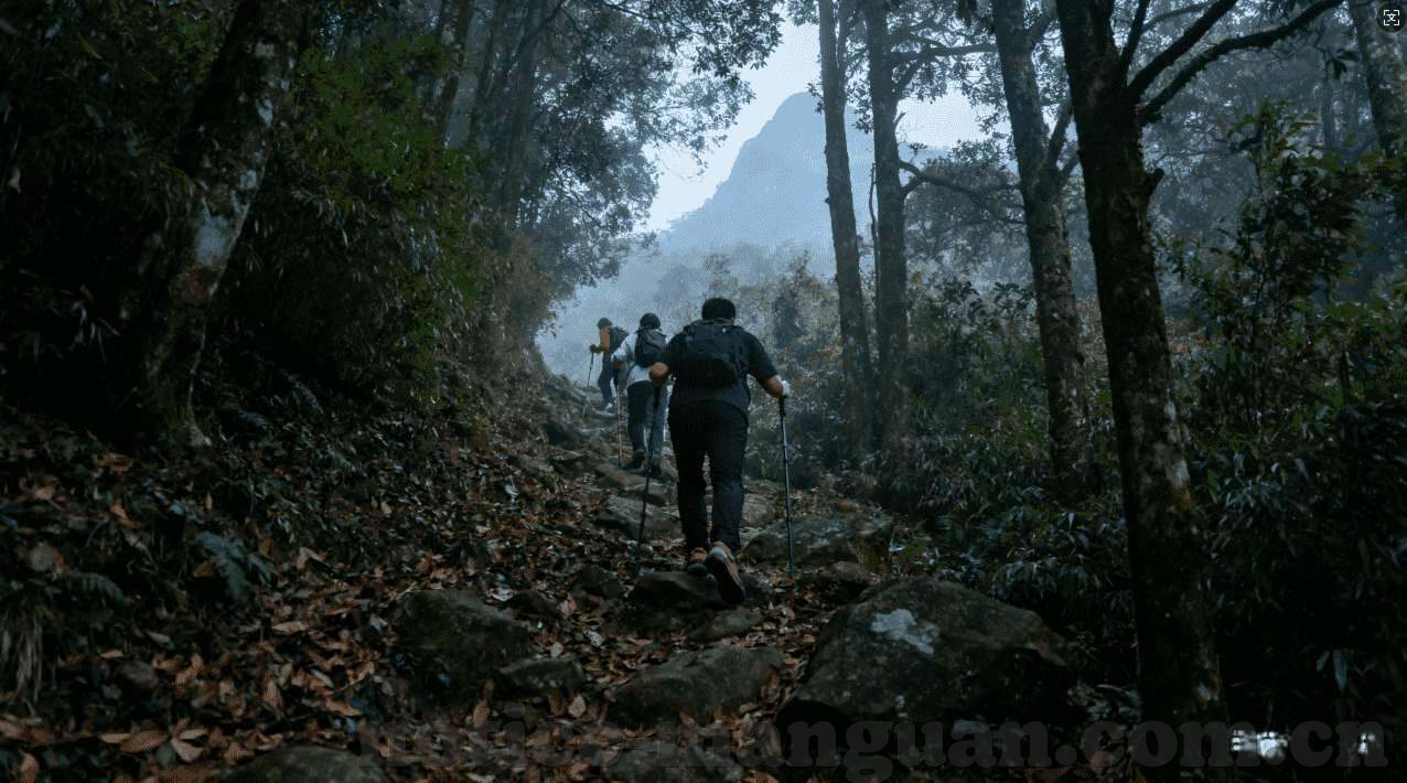壹号娱乐平台下载-探秘壹号娱乐平台，如何安全、便捷地下载享受？壹号娱乐平台下载
